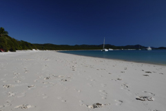 WhiteHaven Beach